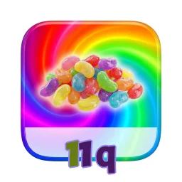 11q