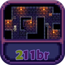 211br