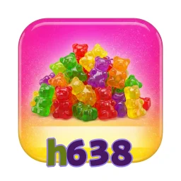 h638