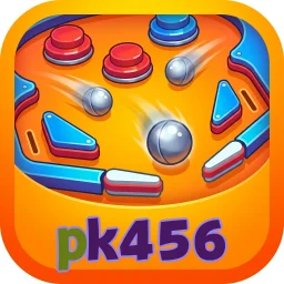pk456